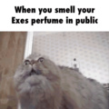 When you smell the perfume of your EX